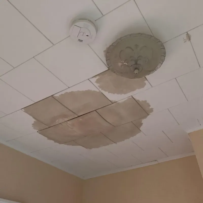 Ceiling Water Damage Repair in Jasonville, IN