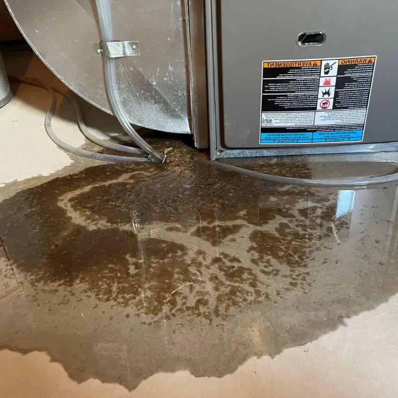 Pipe Burst and Leak Restoration in Jasonville, IN